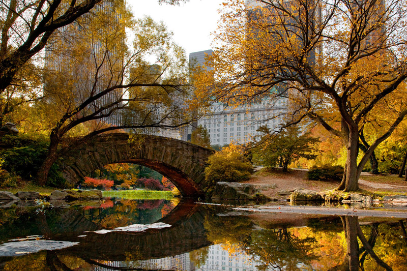 LA MANCANZA DELLE COSE&nbsp;PERDUTE